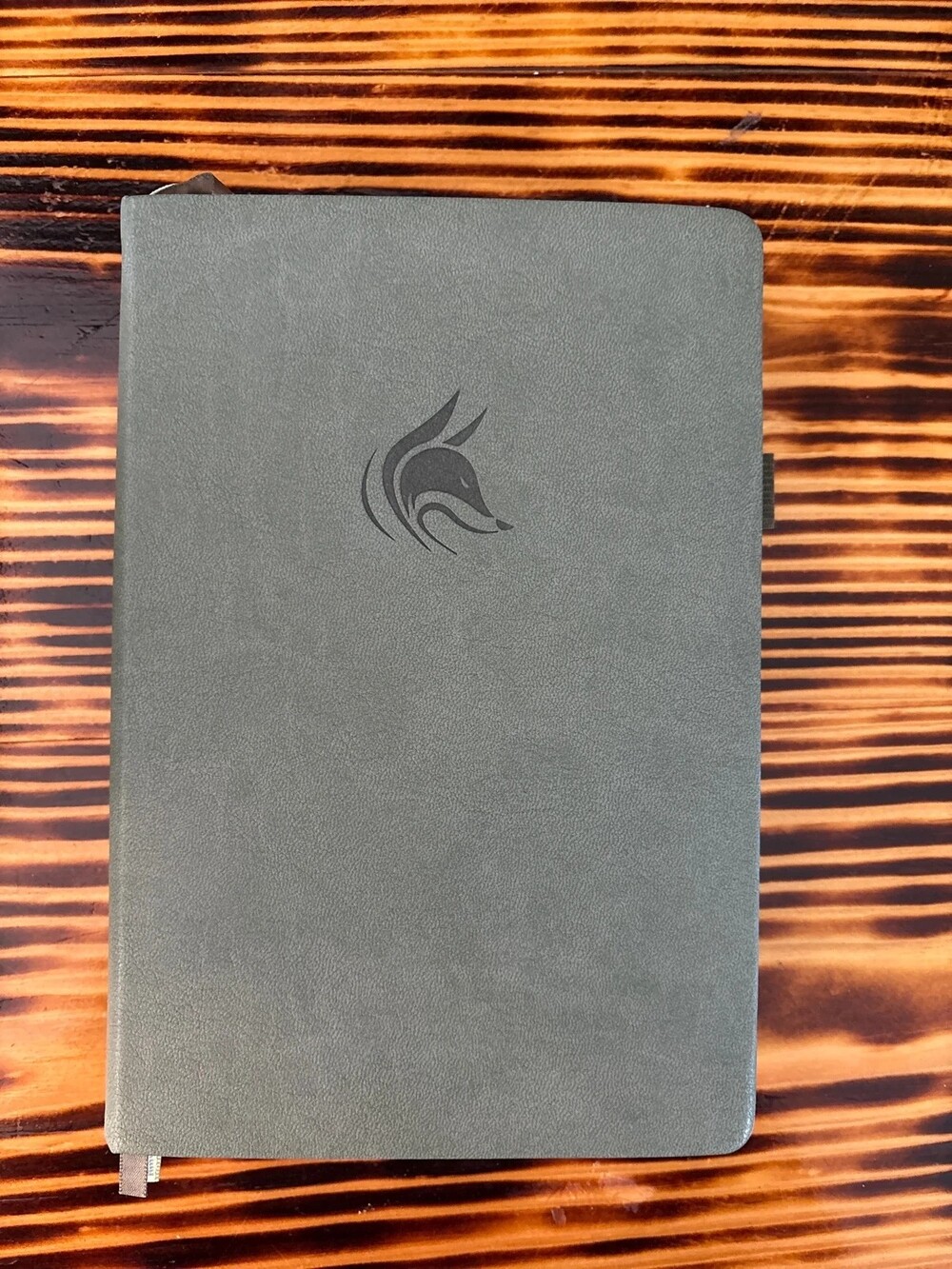 Clever Fox 12-Month Medical Planner – New/without tag